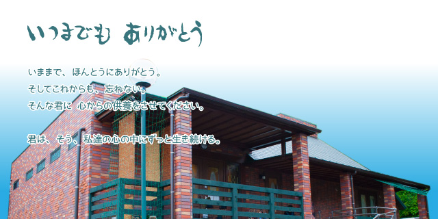 いつまでもありがとう。いままで、ほんとうにありがとう。そしてこれからも、忘れない。そんな君に、心からの供養をさせてください。君は、そう、私達の心の中にずっと生き続ける。